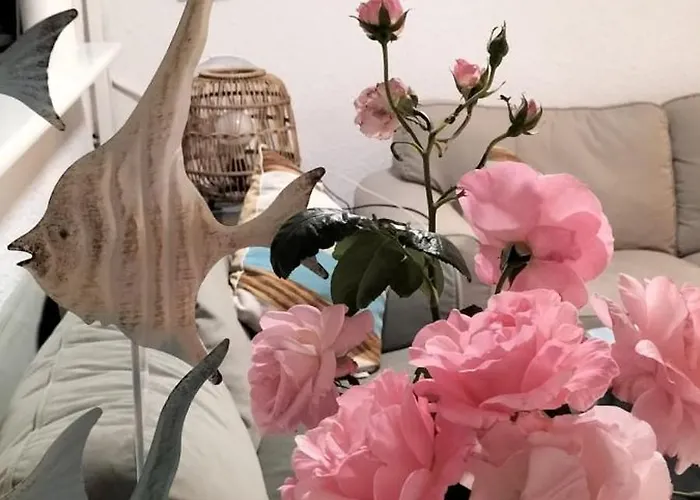 Conil Vistas Al Mar Del Roqueo, Fuente Del Gallo